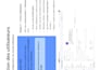 write professional IT procedures and technical documentation